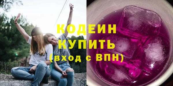 мдпв Пересвет